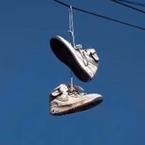 Meet your Posher, Gilbert